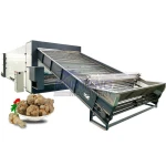 Continuous Vegetables Potato Dryer Radish Mesh Belt Fruits Drying Machine