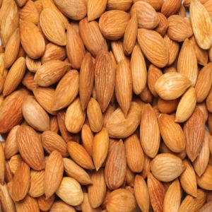 High Quality Almond Nuts Available For Sale