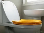 Toilet seat covers