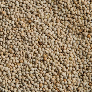 New Crop White Brown Color Hulled Perilla Seeds for Sale