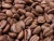 Import Premium Quality Ethiopian Coffee beans from Ethiopia