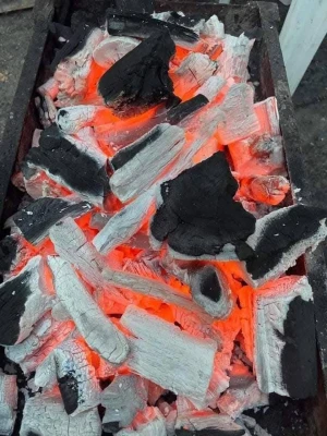Premium Egyptian Hardwood Charcoal | Superior Citrus & Casuarina Grade | Long-Lasting & Spark-Free for BBQ & Shisha