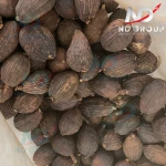 Black Cardamom