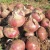 Import China Fresh Red Onion Exports To Sri Lanka from China