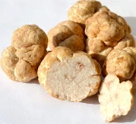 Fresh White Truffles Mushrooms Truffles for Wholesale