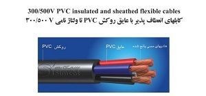 300/500V PVC insulated and sheathed flexible cables