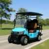 2+2 Seater Classic Electric Golf Cart 48V Lithium Battery 3.5KW AC motor