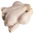 Import Best quality frozen whole chicken frozen whole chicken from USA