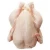 Import Best quality frozen whole chicken frozen whole chicken from USA