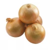 China Fresh Red Onion Exports To Sri Lanka