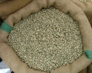 Pure Arabica Coffee Beans – Kenyan Export Supply for Global Markets