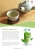 Import Pesticide-Free Organic Green Tea from Japan