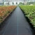 Import Dark Weed Barrier Fabric Agricultural black Plastic mat Ground Cover from China