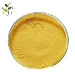 Factory Supply Springjia Fisetin Powder Herbal Extract 98% Pure Food Grade Halal Certified in Bottle/Drum Packaging