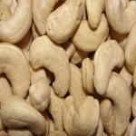cashew nuts BB/SP/LP/W450/W320/W240/W210/W180