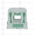 Import Custom Logo PP Cororugated Plastic Asparagus Box from China