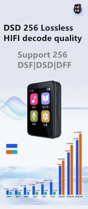 Cheap DSD decode MP3 player