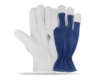 Assembly-gloves