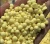 Import EN590 10PPM, JET A1 FUEL, D6, UREA46%, Sulphur from South Africa