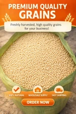 Non GMO soybeans for sale