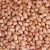Import Peanuts/Groundnuts from Cameroon