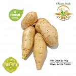 World Class Fresh Sweet Potatoes in Wholesale