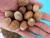 Import Nutmeg from Indonesia