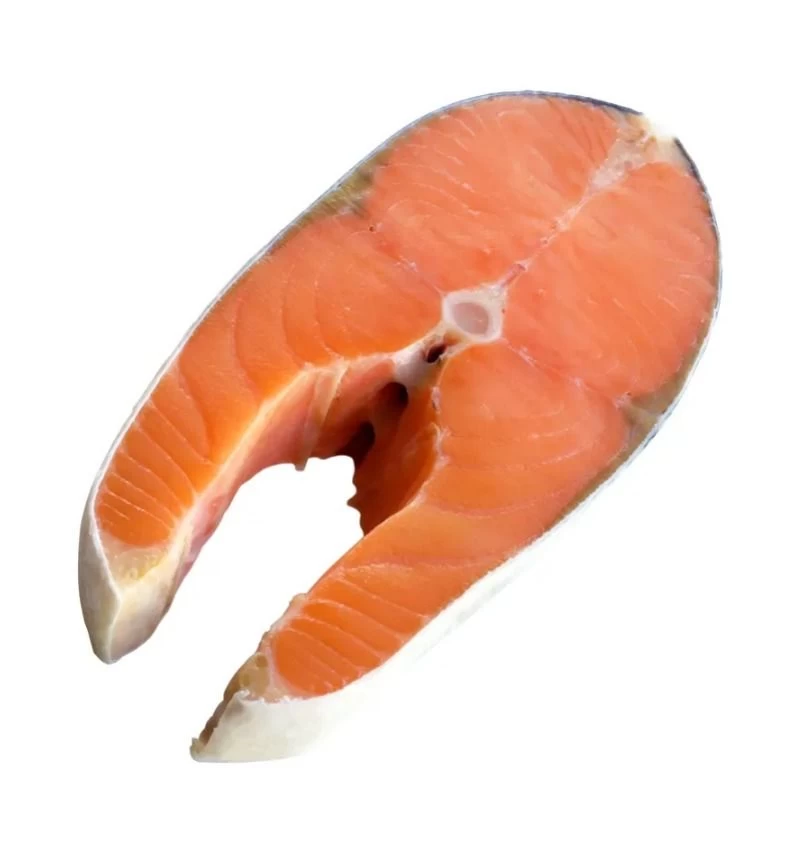 Buy Frozen Salmon Fish Fillet from aubac ventures, Poland | Tradewheel.com