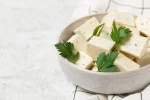 Premium Italian 100% Plant-Based Vegetarian Food