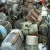 Import Fridge / AC Compressor Scraps from Cameroon