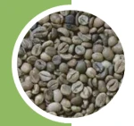 VIETNAM ROBUSTA COFFEE GRADE 1 – SCREEN 18 STANDARD