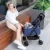 Import Bello sp02f Dog/Cat Pet stroller with detachable basket with four wheels rotating 360 degrees from China