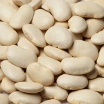 White Kidney Beans In Bulk Offering Pure Content And Attractive Texture Supporting Extensive Distribution Channels