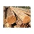 Import teak wood logs wholesale at factory price for buyers from South Africa