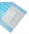 Import CE FDA Certification Disposable Safe Protective 3 Ply Dust Non-Woven Face Mouth Faceshield Earloop from China