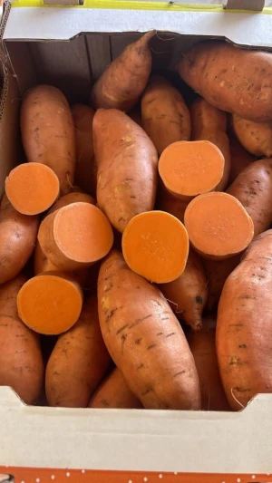 sweet potatoes