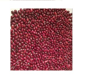 100% Hot Pinto Red Sugar Beans Price For Sale