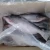 Import Whole frozen pangasius for export from China