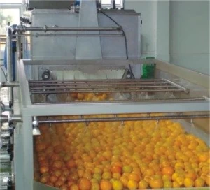 Citrus processing line