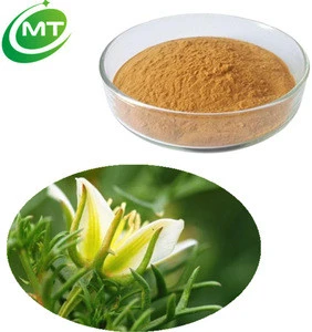 100% Natural China Fresh Peganum Harmala Extract/ GMP Factory Supply Peganum Harmala Extract Powder/ Peganum Harmala Herb Powder