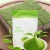 Import 100% Per Natural and New Age Organic Matcha Powder/Organic Green Tea from China