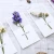 Import 10pcs Gypsophila Dried Flowers Handwritten Blessing Greeting Card Birthday Gift Card Wedding Invitations Use Celebration Party from China