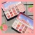 Import 12 Colors Shimmer Glitter Pigmented Eye shadow Private Label Eyeshadow Palette from China