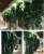 Import 120 cm factory supplied big hanging artificial ivy bush for sale from China