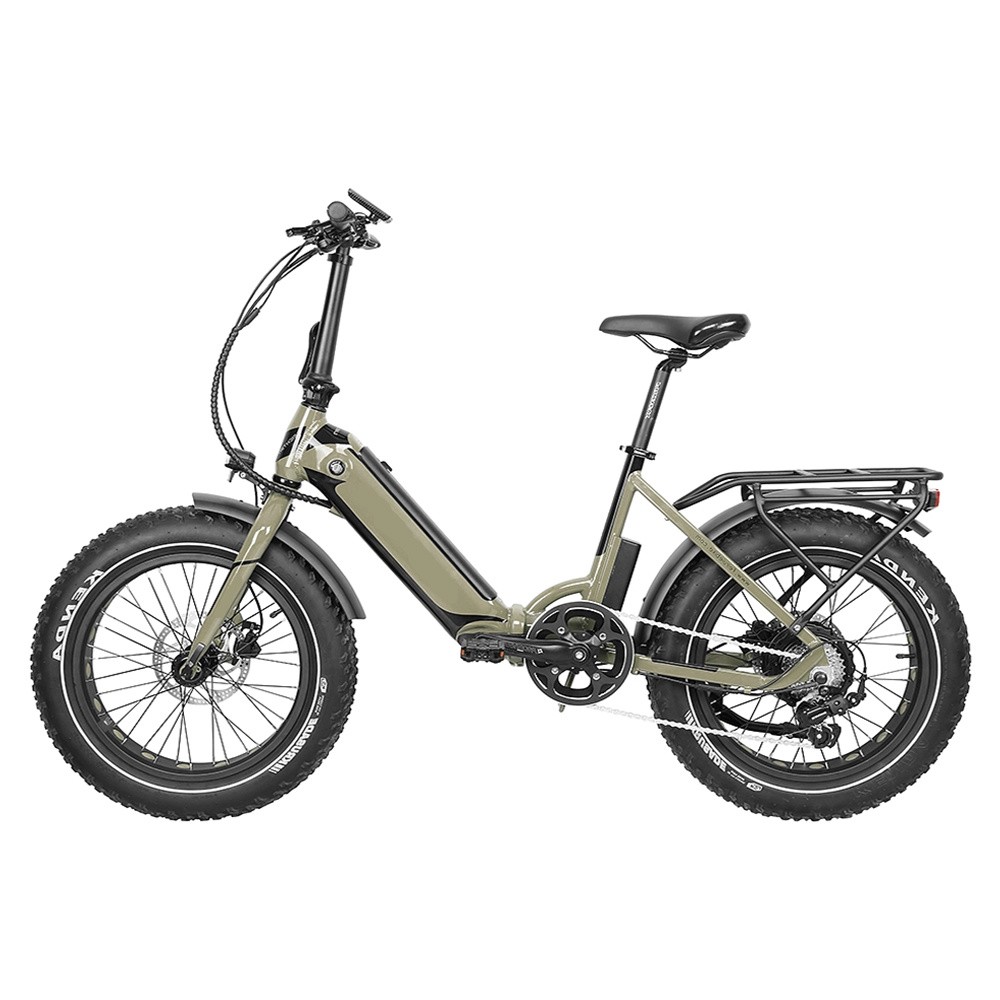 20 Inch Tyre Rear -Drive 48V 500W with Electric Protection Circuit Alloy Suspension Fork Mozo with Comfort Seat