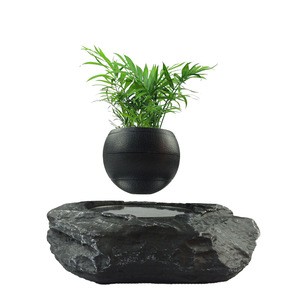 2018 new design magnetic floating air plants bonsai in the air from HCNT