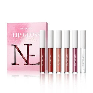 2020 new six rich color all-day long-lasting waterproof non-fading matte Nonstick lip gloss kit set with lip plumper liquid