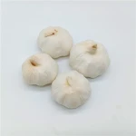 2020 price of garlic best fresh garlic with best quality  hot sales