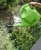 Import 2021 New  Water Jug Planting Watering Can Garden Flower Plant 5L Plastic Watering Pot from China