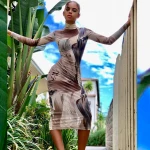 2021 Spring New Arrival Fashion High Neck Print Mesh See Through Long Sleeve Casual Dress Women Vintage Summer Beach Tight Dress